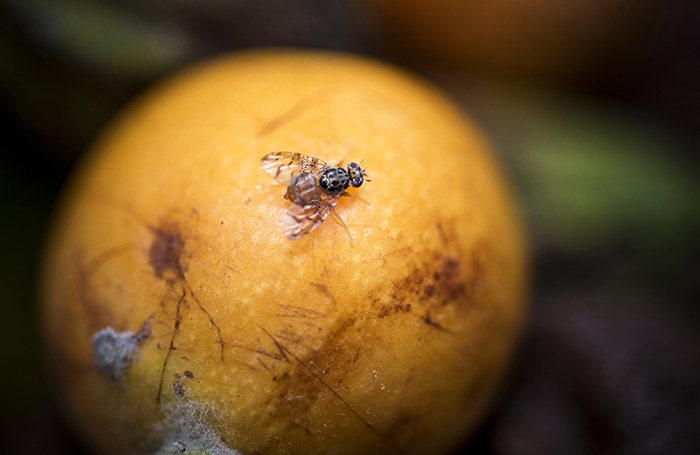 Slika /slike/Priopcenja/fotografija 1.jpg